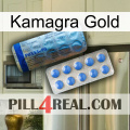 Kamagra Gold 40